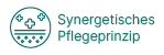 Synergetisches-Pflegeprinzip