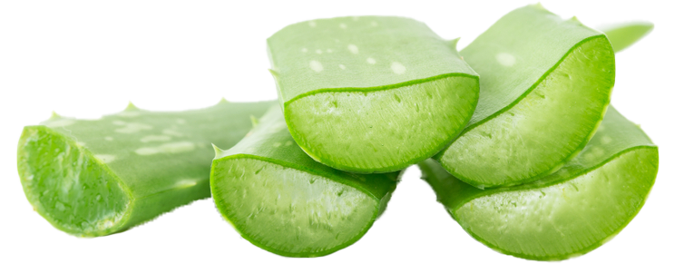 Aloe-VeraetakT0XSXCmd0